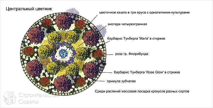 Схема центрального цветника